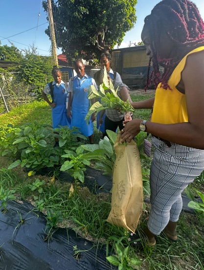 An educator demonstrates a gardening activity with students beside a school garden.